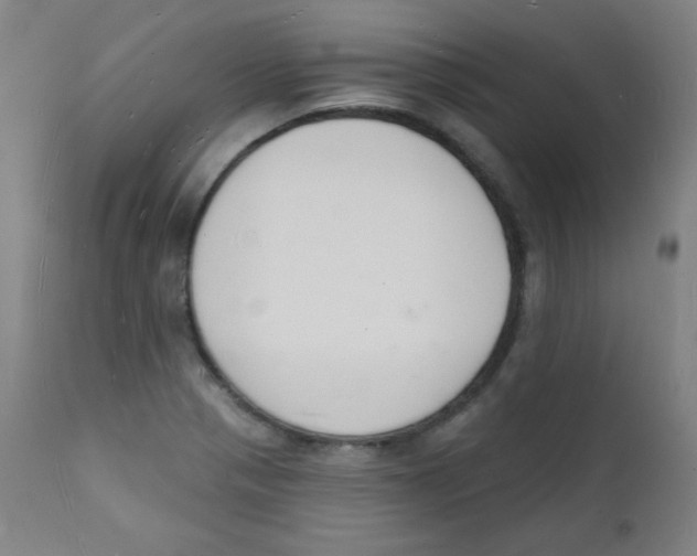 X0000112141321200909041030