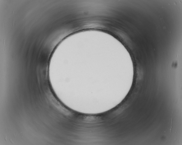 X0000112141322200909041030