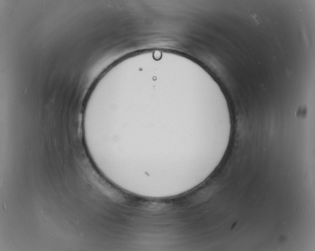 X0000112141324200909041030