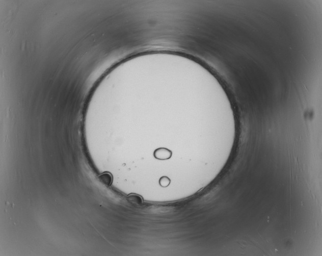 X0000112141325200909041030