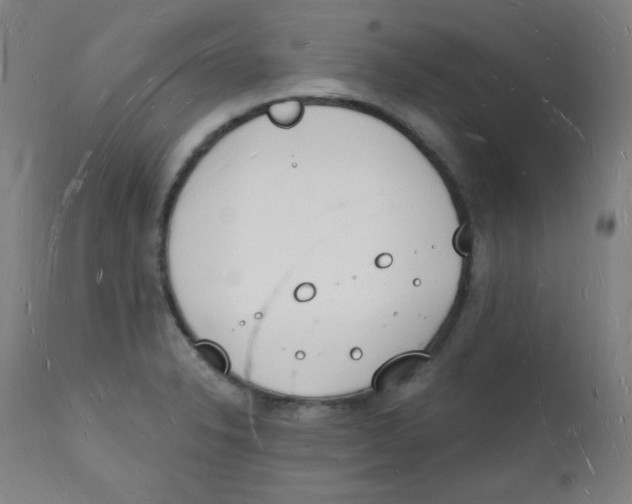 X0000112141326200909041030