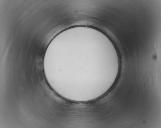 X0000112141329200909041030