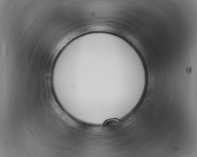 X0000112141330200909041030