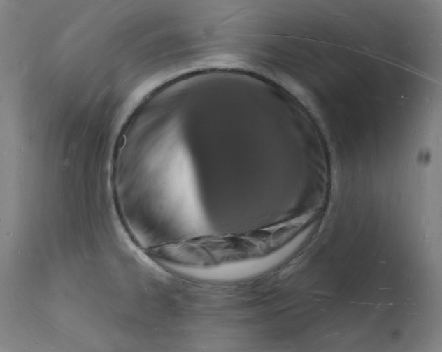 X0000112141334200909041030