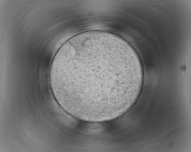 X0000112141338200909041030