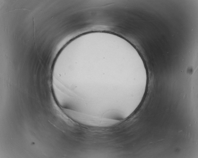 X0000112141342200909041030