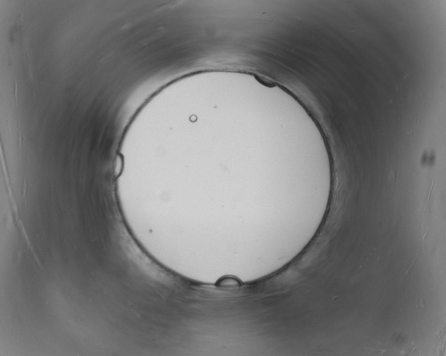 X0000112141344200909041030