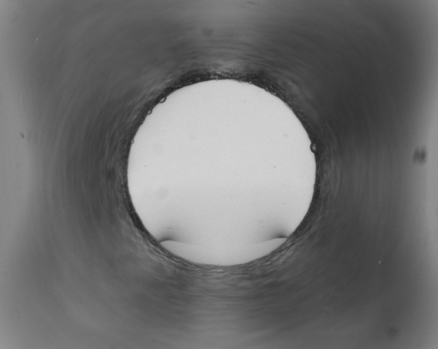 X0000112141345200909041029