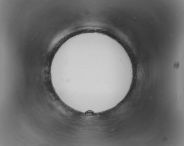 X0000112141352200909041029