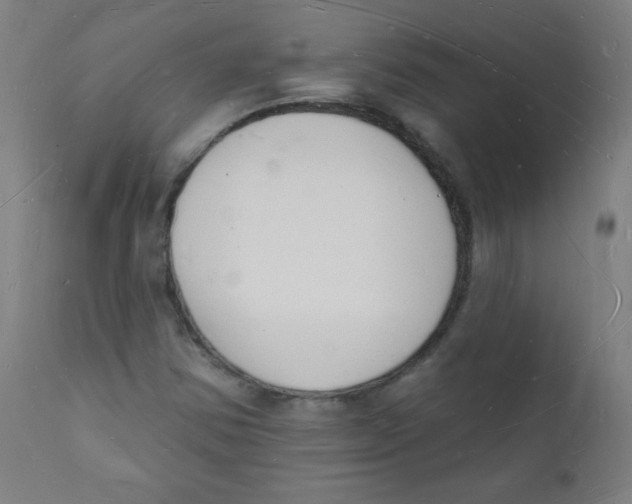 X0000112141354200909041029