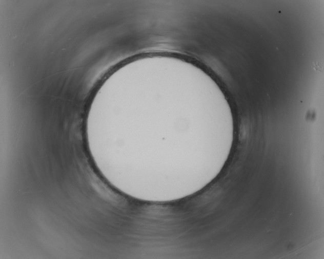 X0000112141356200909041029