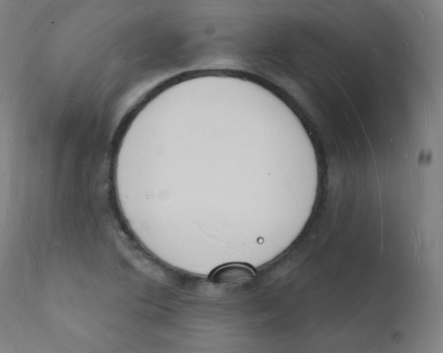 X0000112141364200909041029