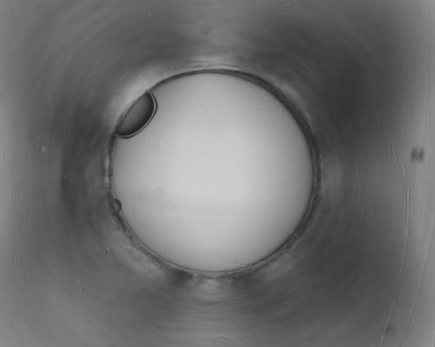 X0000112141365200909041029