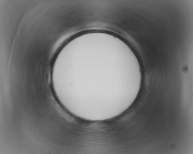 X0000112141368200909041029