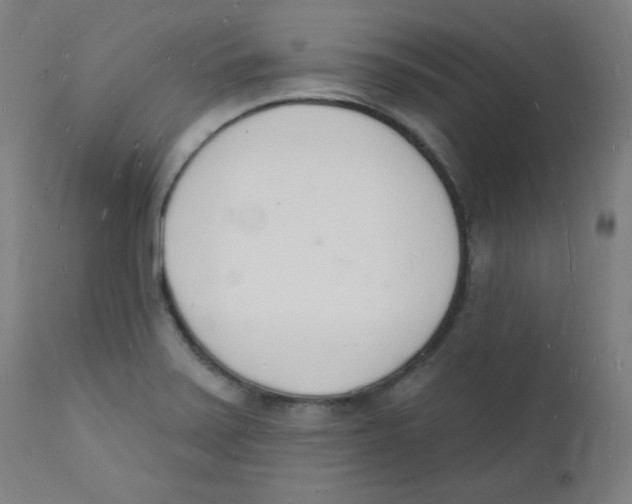 X0000112141371200909041029