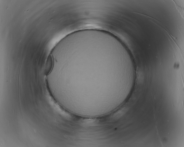 X0000112141373200909041029