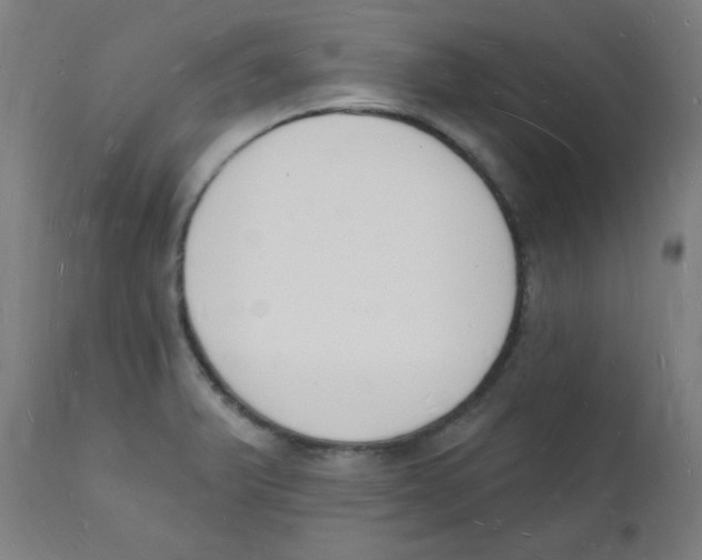 X0000112141375200909041029