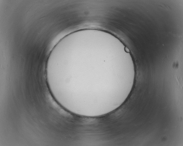 X0000112141382200909041029