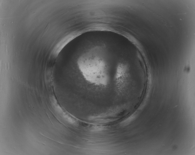 X0000112141385200909041029