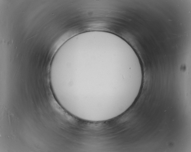 X0000112141386200909041029