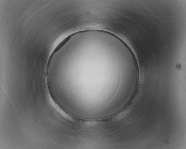 X0000112141389200909041029