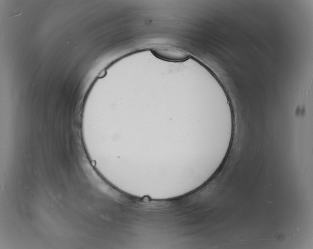 X0000112141392200909041029