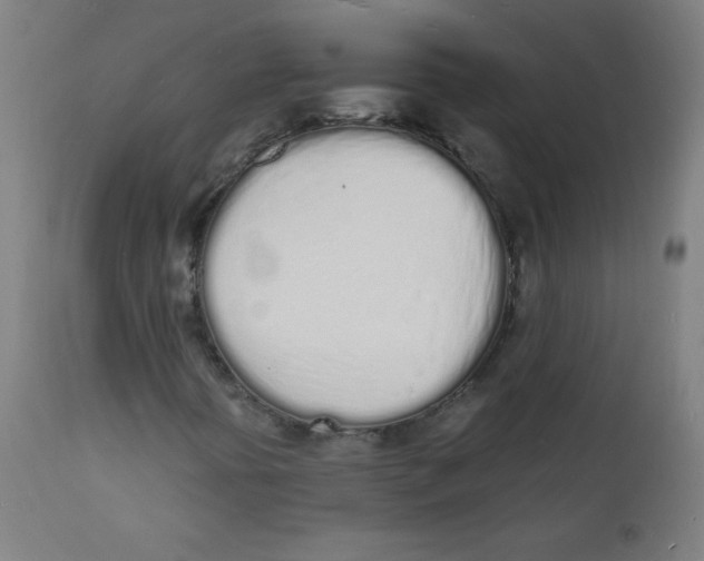 X0000112141394200909041028