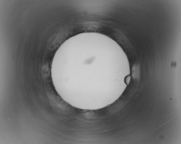 X0000112141395200909041028