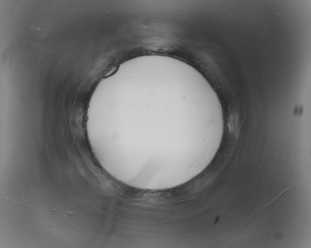 X0000112141396200909041028