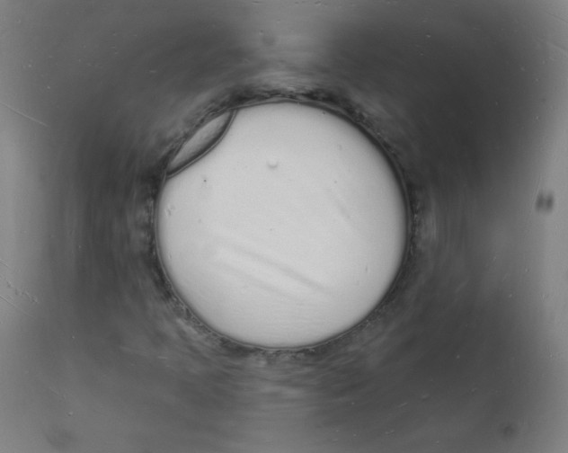 X0000112141397200909041028