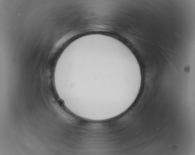 X0000112141402200909041028