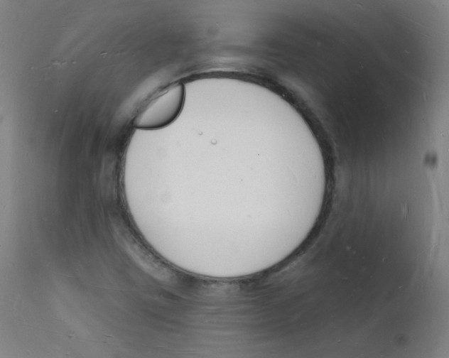 X0000112141403200909041028