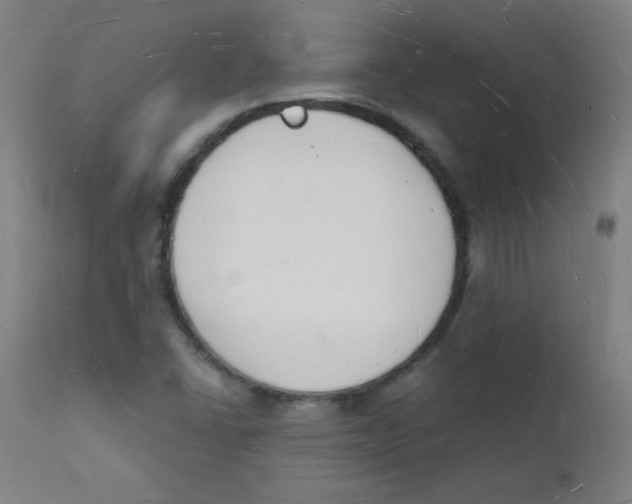 X0000112141406200909041028