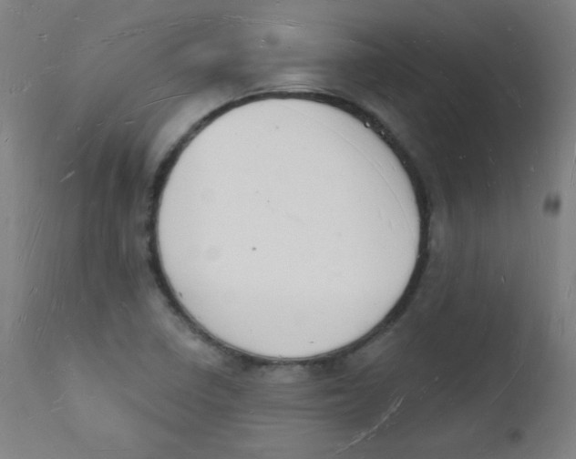 X0000112141410200909041028