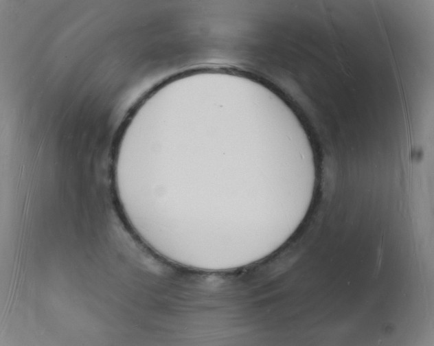 X0000112141412200909041028