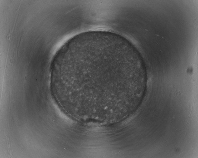 X0000112141414200909041028