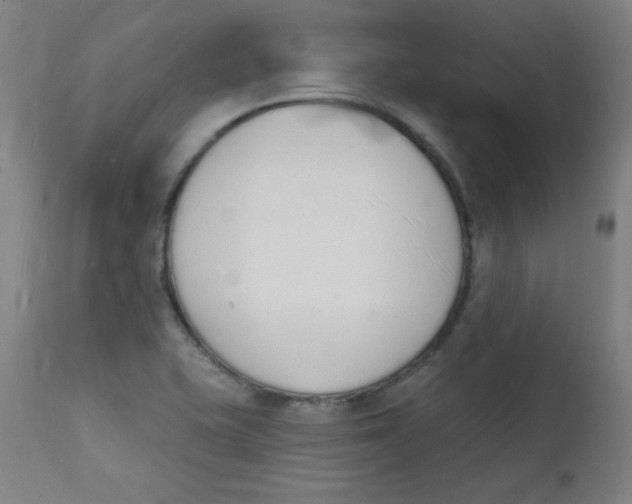 X0000112141415200909041028