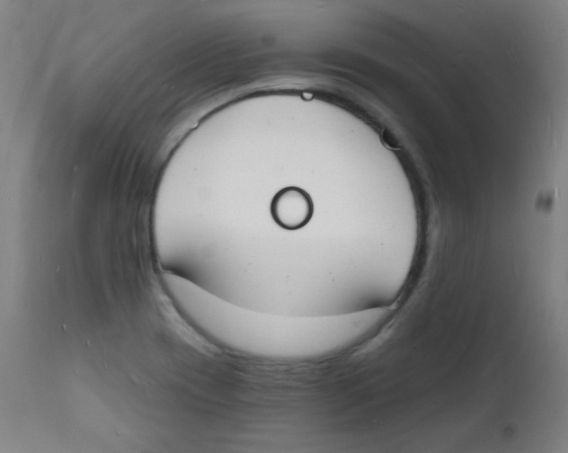 X0000112141417200909041028