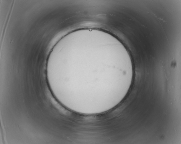 X0000112141421200909041028