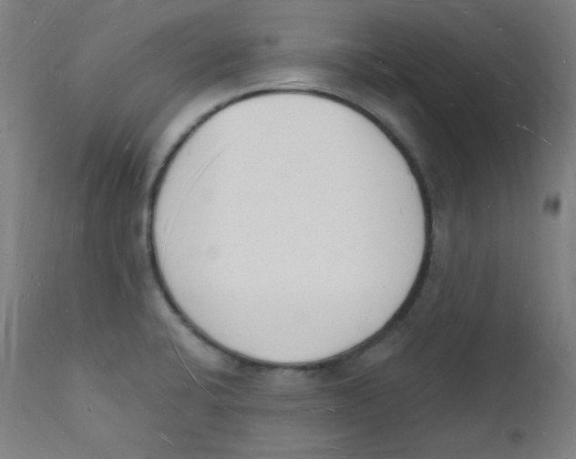 X0000112141424200909041028