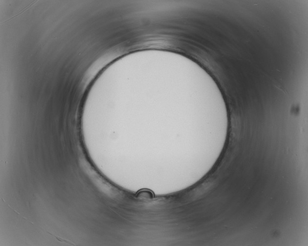 X0000112141426200909041028