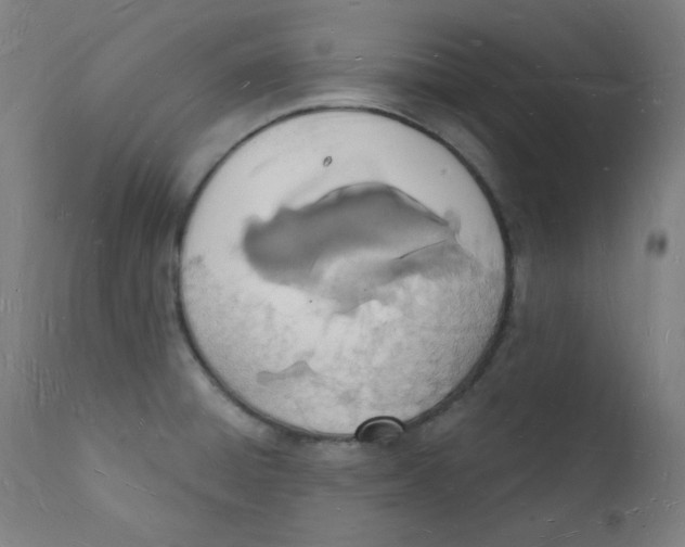 X0000112141428200909041028