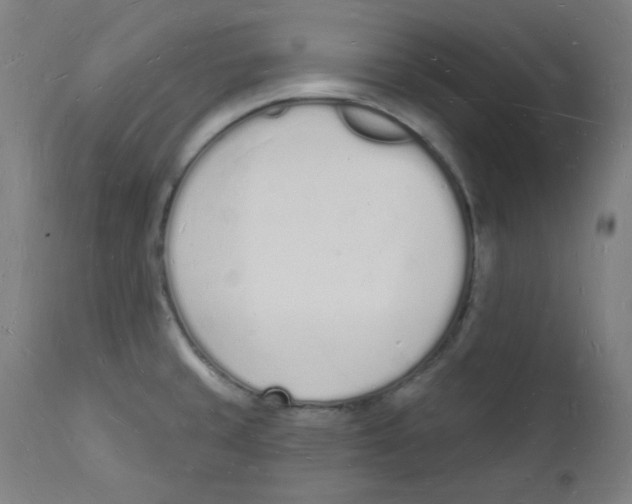 X0000112141429200909041028