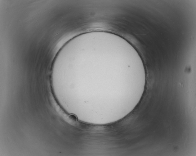 X0000112141431200909041028