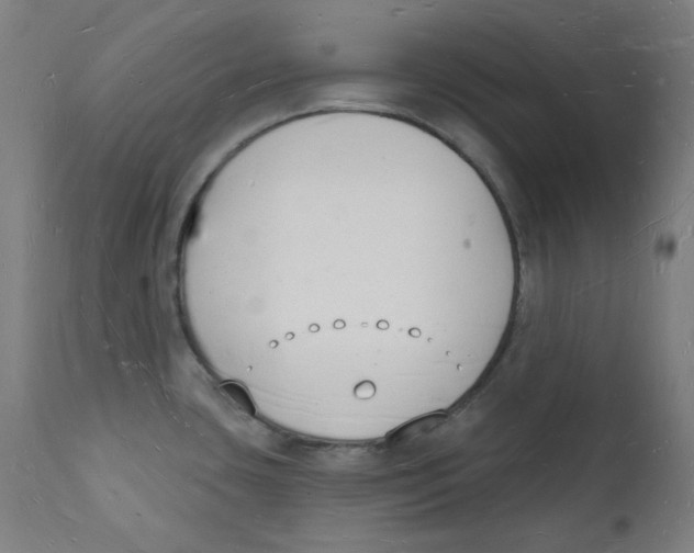 X0000112141435200909041028