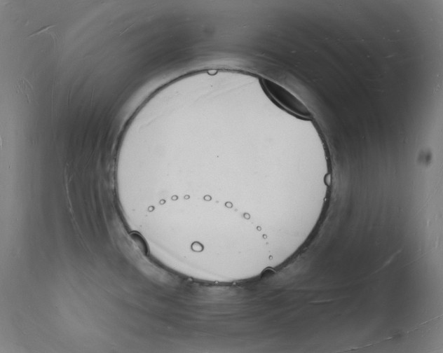 X0000112141436200909041028