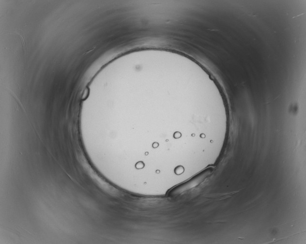 X0000112141437200909041028