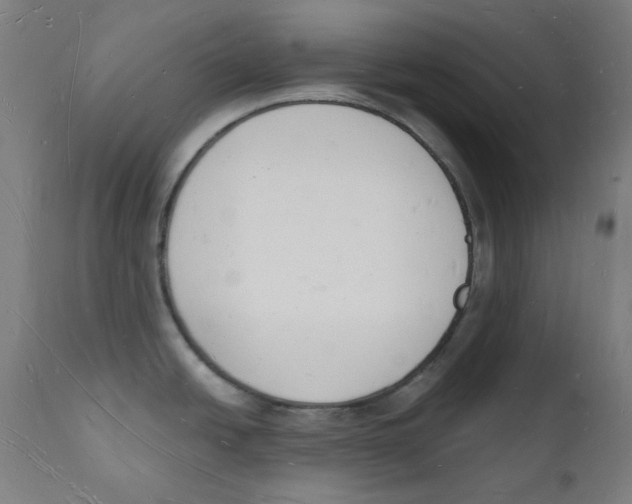 X0000112141438200909041028