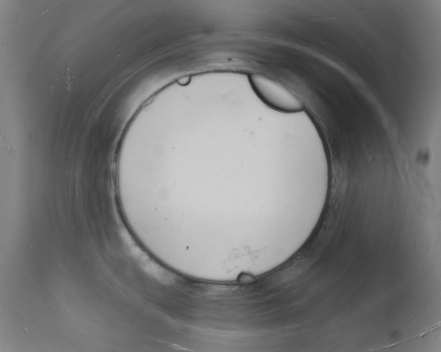 X0000112141439200909041028