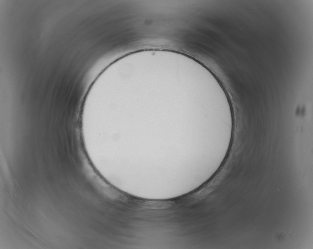 X0000112141440200909041028